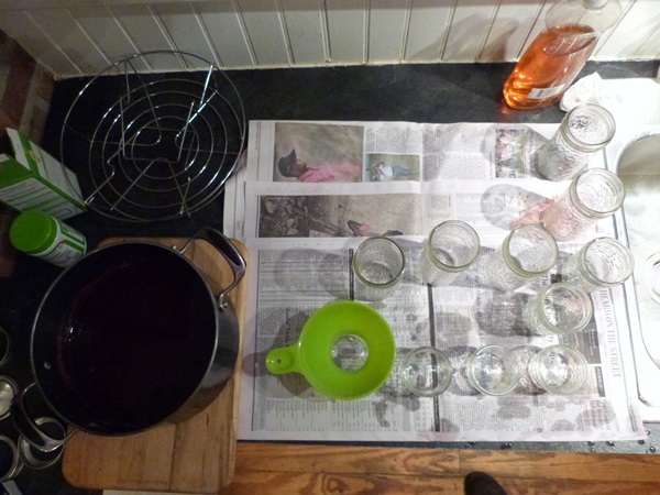 Ribes marmellata rossa - ricette per l'inverno