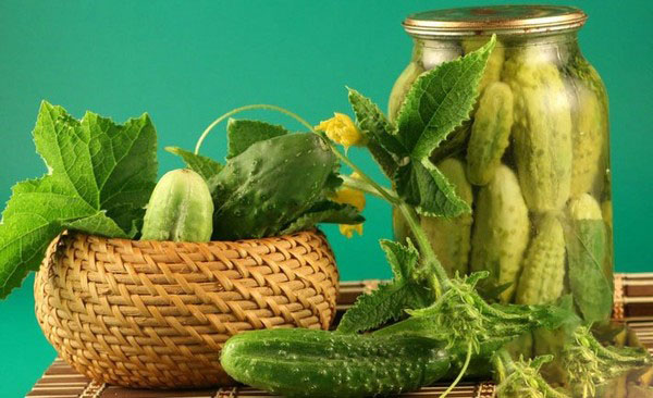 Cetrioli croccanti per l'inverno - in salamoia, senza aceto, senza sterilizzazione. Le migliori ricette semplici con foto di cetrioli croccanti in lattina con vodka
