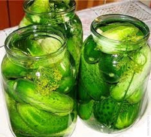 Cetrioli croccanti per l'inverno - in salamoia, senza aceto, senza sterilizzazione. Le migliori ricette semplici con foto di cetrioli croccanti in lattina con vodka