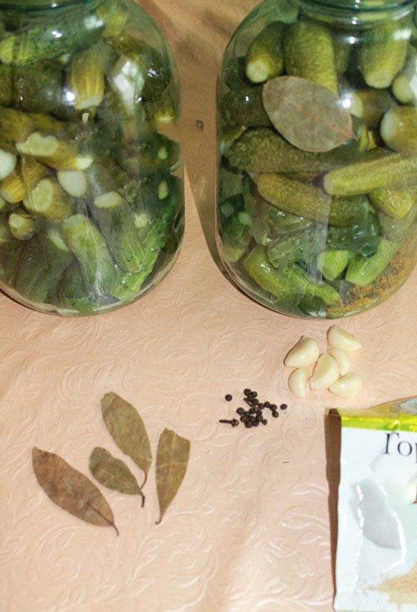 Cetrioli croccanti per l'inverno - in salamoia, senza aceto, senza sterilizzazione. Le migliori ricette semplici con foto di cetrioli croccanti in lattina con vodka