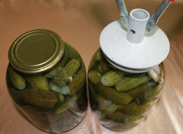 Cetrioli croccanti per l'inverno - in salamoia, senza aceto, senza sterilizzazione. Le migliori ricette semplici con foto di cetrioli croccanti in lattina con vodka