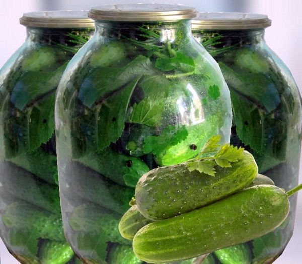 Cetrioli croccanti per l'inverno - in salamoia, senza aceto, senza sterilizzazione. Le migliori ricette semplici con foto di cetrioli croccanti in lattina con vodka