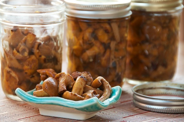 Come mettere funghi a casa - ricette per l'inverno nelle banche