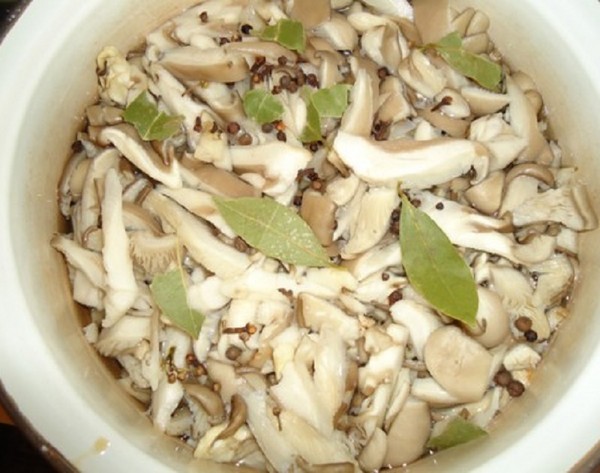 Come mettere funghi a casa - ricette per l'inverno nelle banche