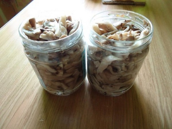 Come mettere funghi a casa - ricette per l'inverno nelle banche
