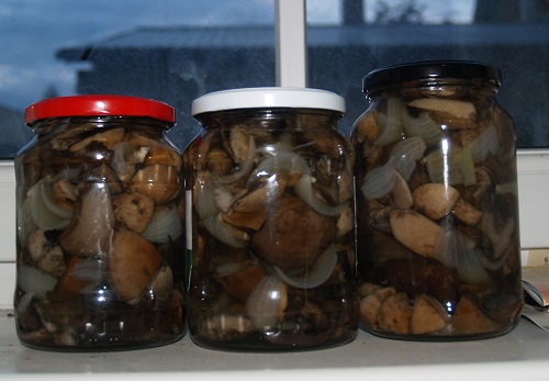 Ricetta marinata per l'inverno