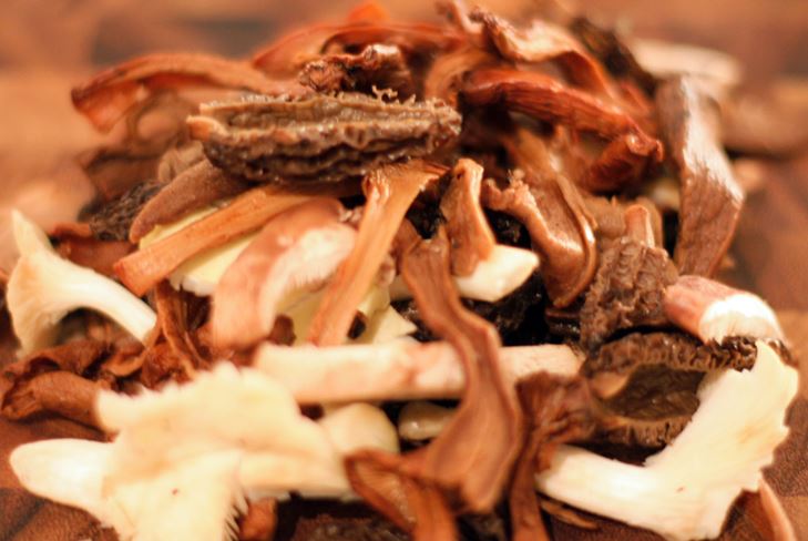 Come asciugare i funghi in casa
