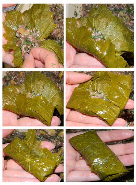 Come cucinare dolma a casa Come cucinare dolma a casa