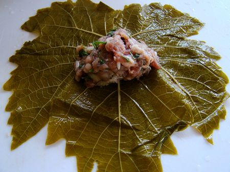 Come cucinare dolma a casa Come cucinare dolma a casa