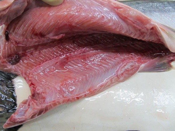 Come cucinare il salmone rosa? Ricette di salmone rosa succoso e morbido in forno con panna acida
