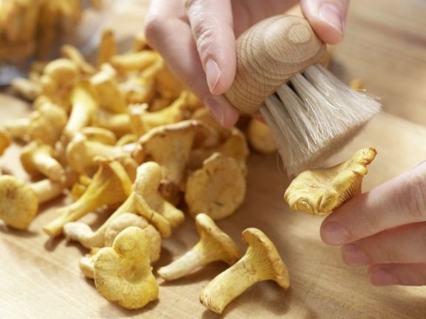 Come cucinare i finferli in una padella