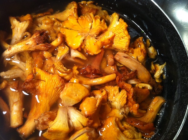 Come cucinare i finferli in una padella