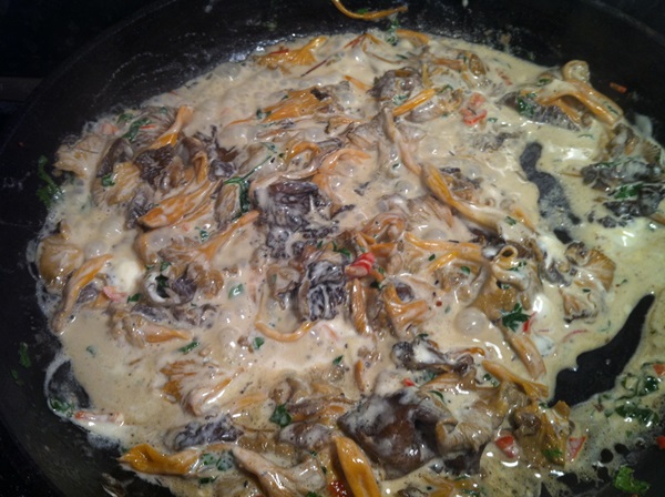 Come cucinare i finferli in una padella