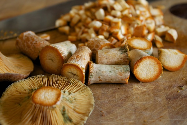 Come salare i funghi per l'inverno