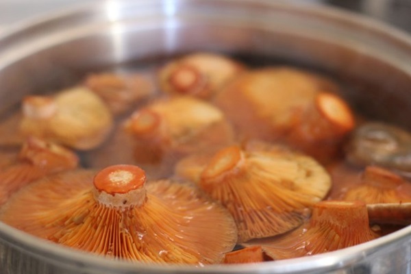 Come salare i funghi per l'inverno
