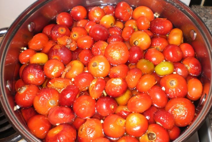 Come preparare la marmellata da un dogrose per l'inverno: la ricetta per uno spuntino di cinque minuti