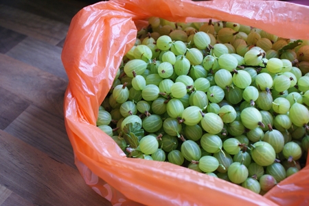 Come preparare la composta di uva spina