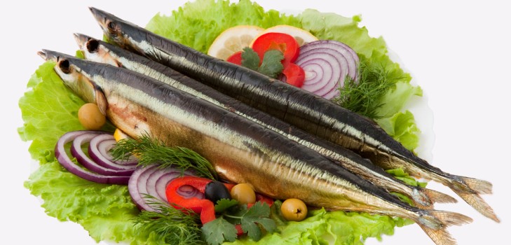Zuppa di saura in scatola: ricette gustose e utili