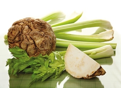 Come cucinare sedano per l'inverno