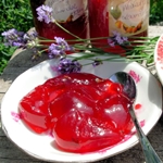 Come chiudere la billetta dal ribes per l'inverno