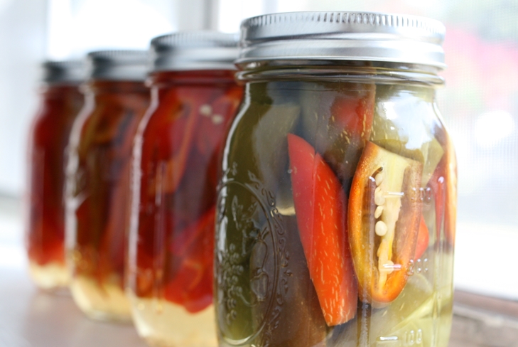 Come marinare il peperoncino bulgaro per l'inverno: foto ricetta marinata