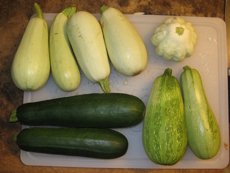 Come congelare zucchine per l'inverno a casa - foto