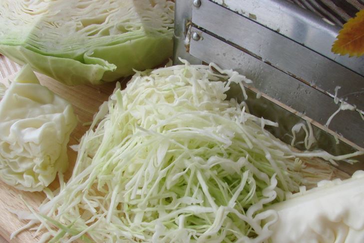 Saltare il cavolo per l'inverno