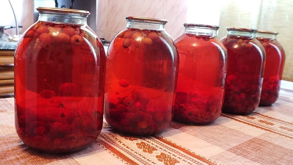 Compote dalla frittata di chokeberry