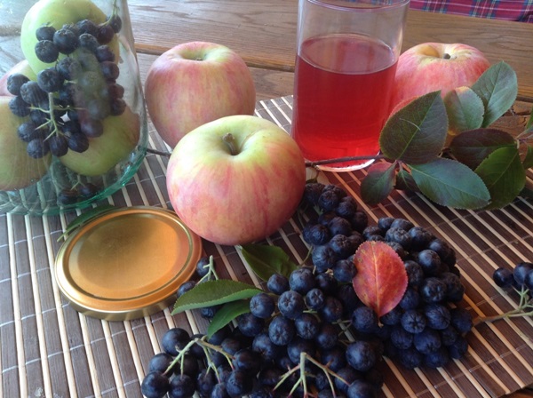 Compote dalla frittata di chokeberry