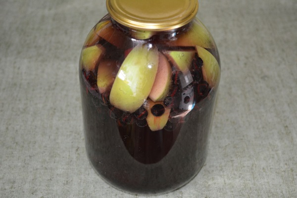 Compote dalla frittata di chokeberry