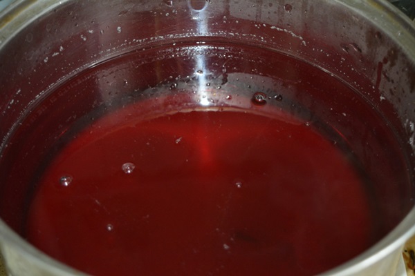 Compote dalla frittata di chokeberry