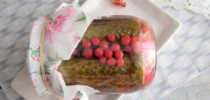 Cetriolo in scatola con ribes senza aceto
