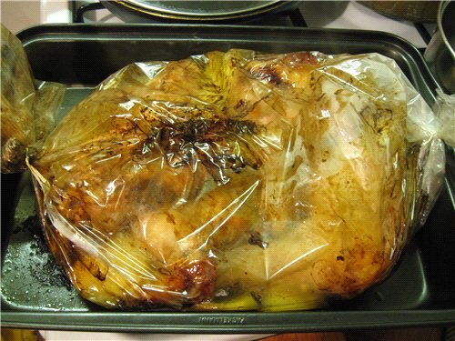 pollo nella manica