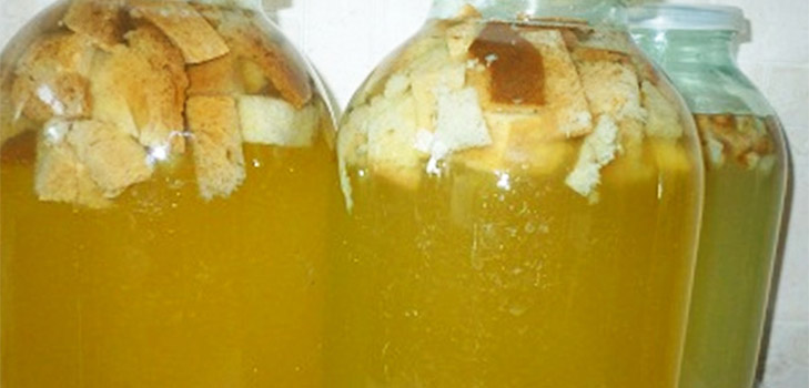 Deliziose e semplici ricette di kvas sulla linfa di betulla Deliziose e semplici ricette di kvas sulla linfa di betulla