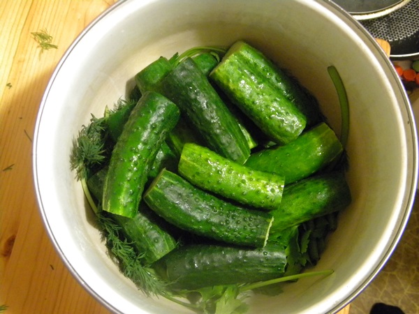 Cetriolo croccante alla luce in una casseruola