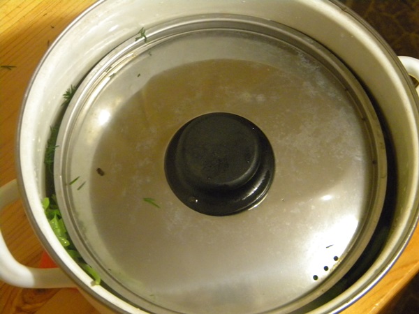 Cetriolo croccante alla luce in una casseruola