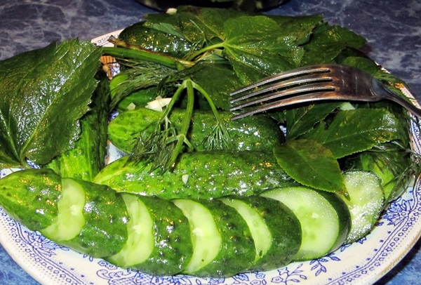 Cetriolo croccante alla luce in una casseruola
