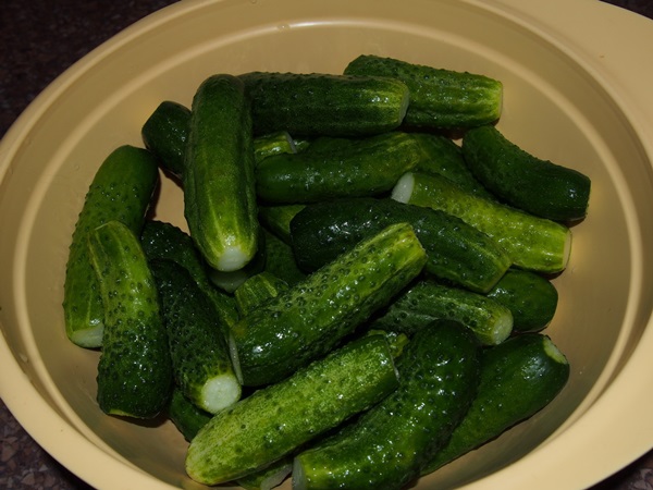 Cetriolo croccante alla luce in una casseruola