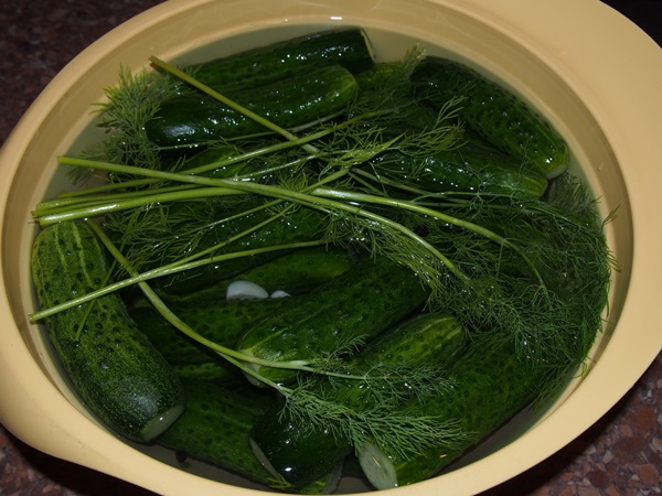 Cetriolo croccante alla luce in una casseruola