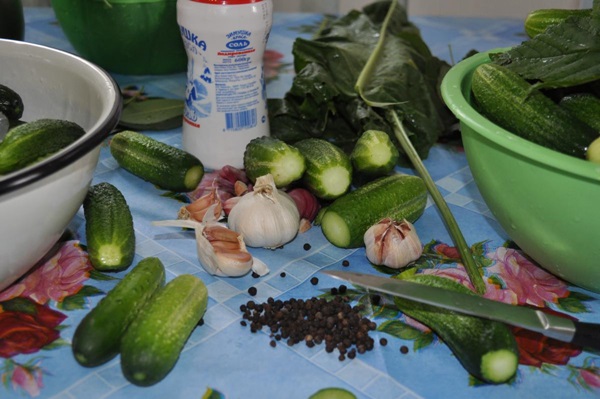 Cetriolo croccante alla luce in una casseruola