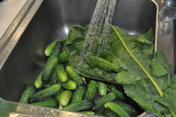 Cetriolo croccante alla luce in una casseruola