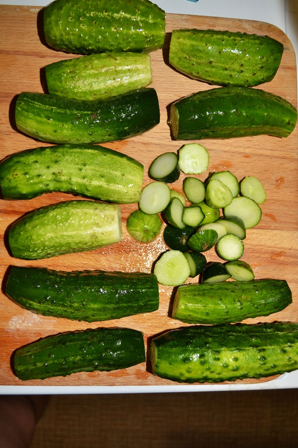 Cetriolo croccante alla luce in una casseruola