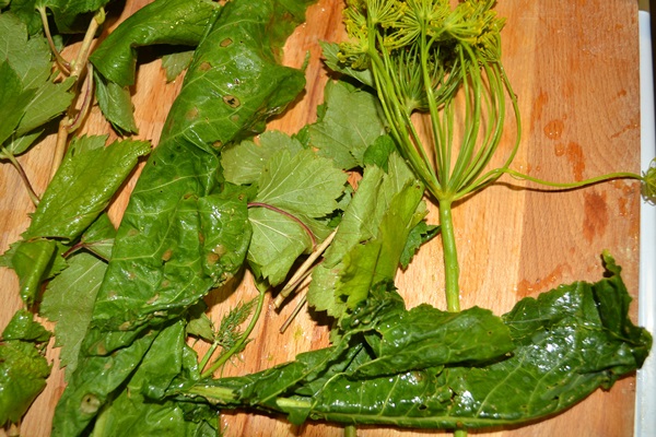 Cetriolo croccante alla luce in una casseruola