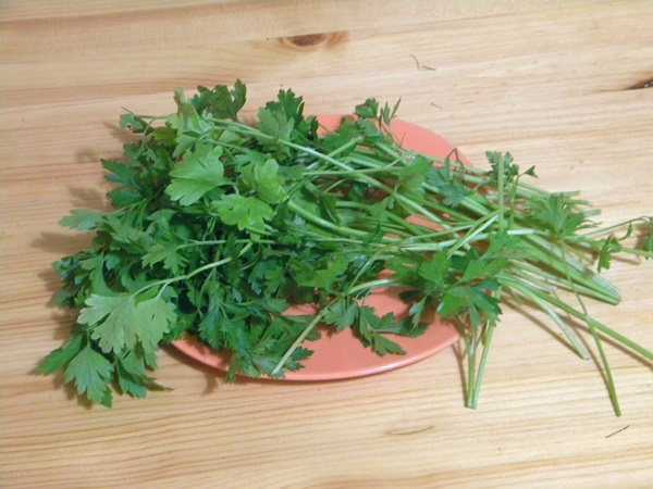 Cetriolo croccante alla luce in una casseruola