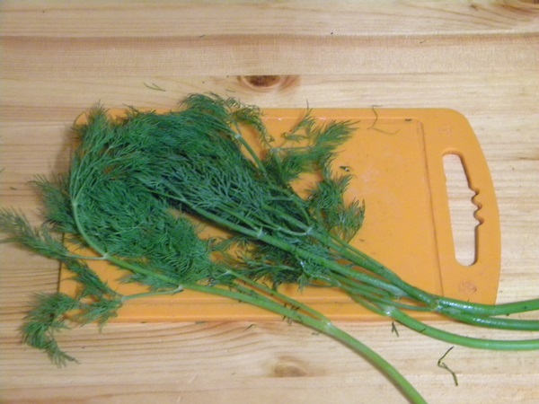 Cetriolo croccante alla luce in una casseruola