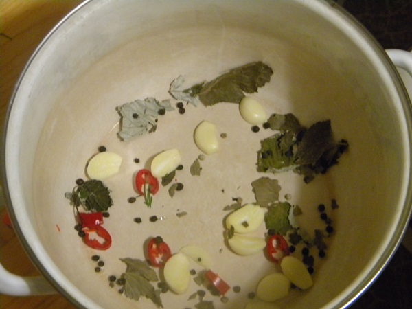 Cetriolo croccante alla luce in una casseruola
