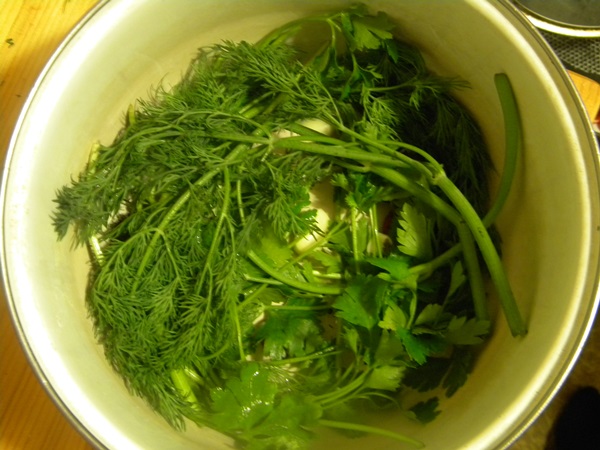 Cetriolo croccante alla luce in una casseruola