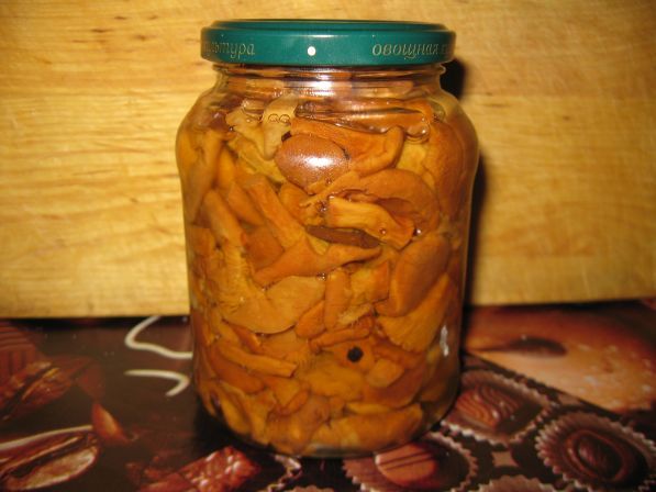 Finferli sott'aceto