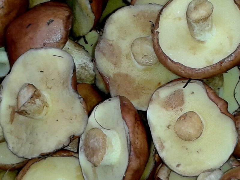 Oleata marinata: ricetta passo dopo passo