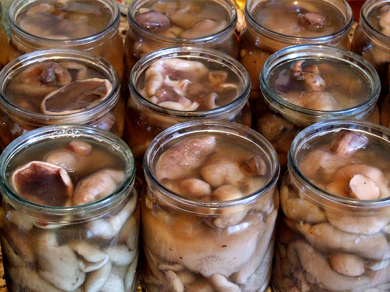 Oleata marinata: ricetta passo dopo passo
